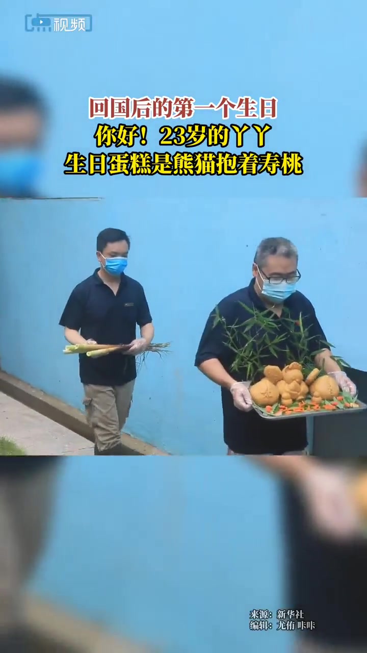 回国后的第一个生日!丫丫23岁的生日蛋糕是熊猫抱着寿桃 丫丫