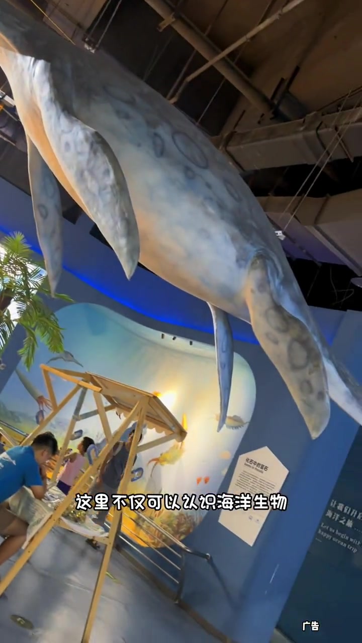 暑假遛娃来重庆欢乐海底世界,不仅可以游玩还能了解知识 重庆海洋博物馆 让孩子过一个有意义的