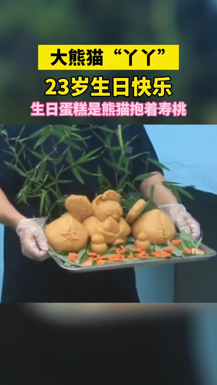 大熊猫“丫丫”23岁生日快乐!“丫丫”生日蛋糕是熊猫抱着寿桃