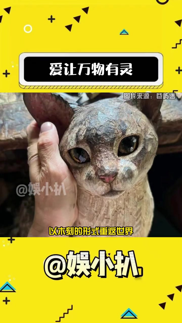 雕刻的不是物体是回忆 宠物 感动 动物 木雕