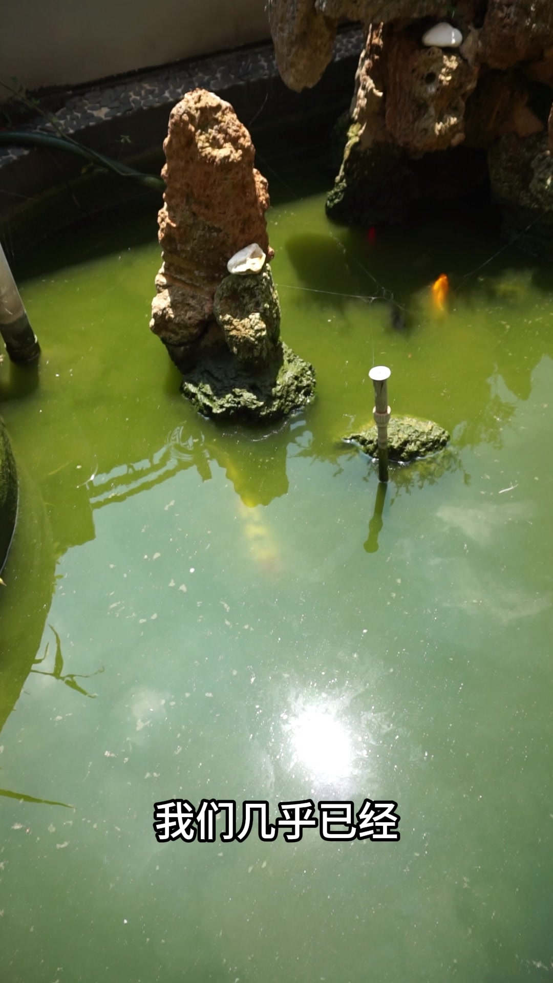 鱼池加装过滤,传统假山加装灌溉系统