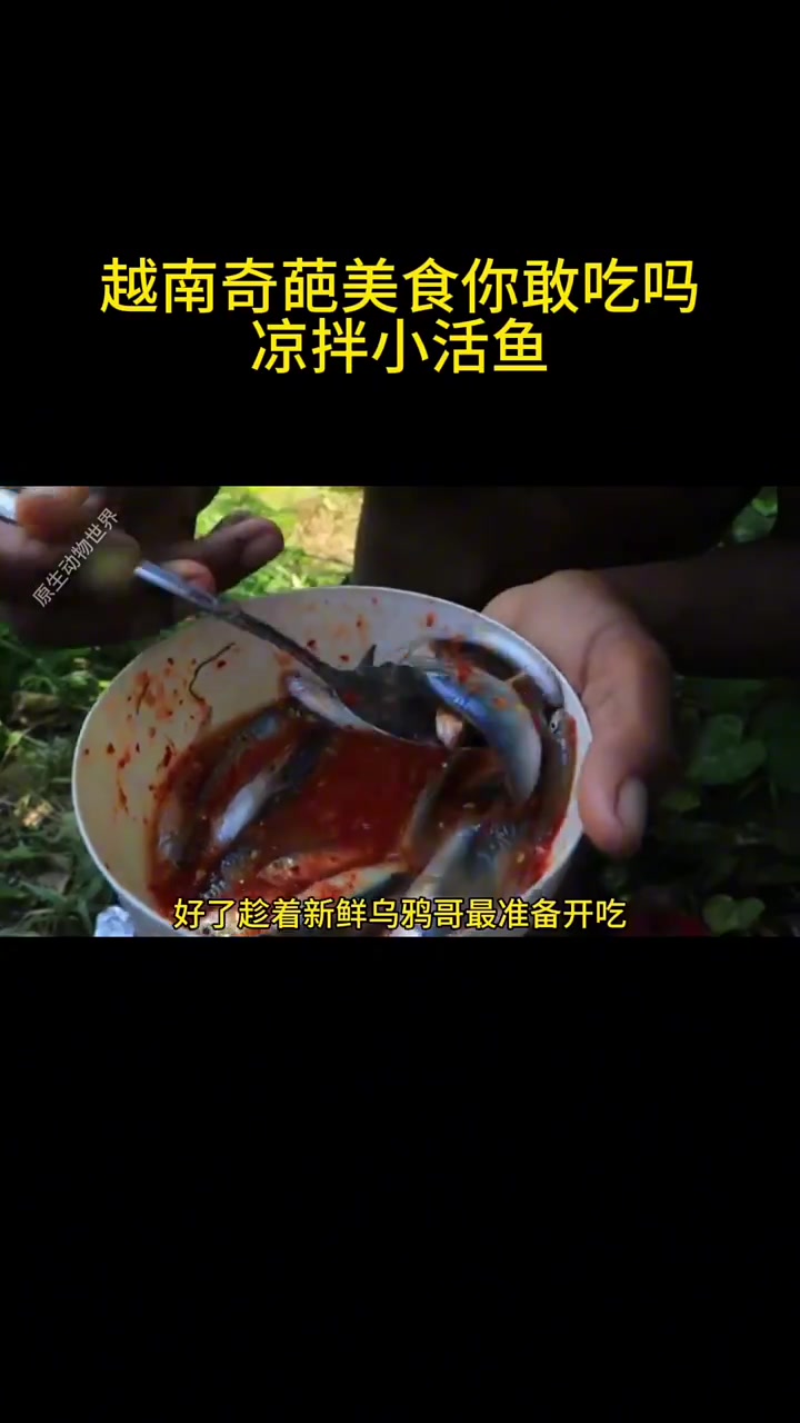 越南奇葩美食凉拌小活鱼