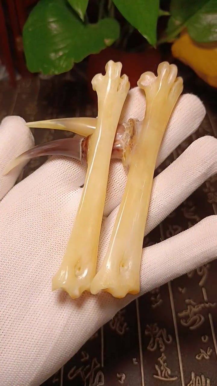 文玩鸡爪骨怎么盘玩保养?文玩鸡爪骨怎么保养 文玩鸡爪骨盘玩方法 玉化鸡爪骨 鸡爪骨手把件 