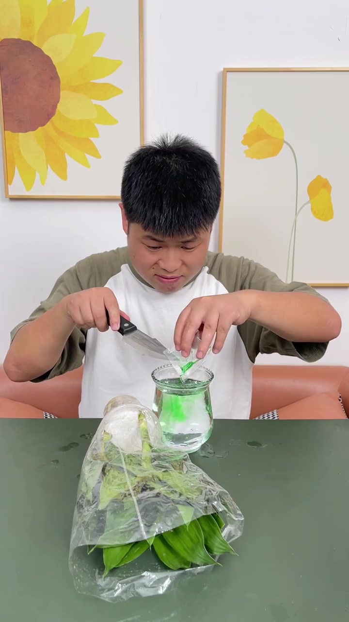 这个富贵竹观音竹确实不错啊~关键是这个价格太香了吧,而且很适合新手跟好养活 水培植物 富贵