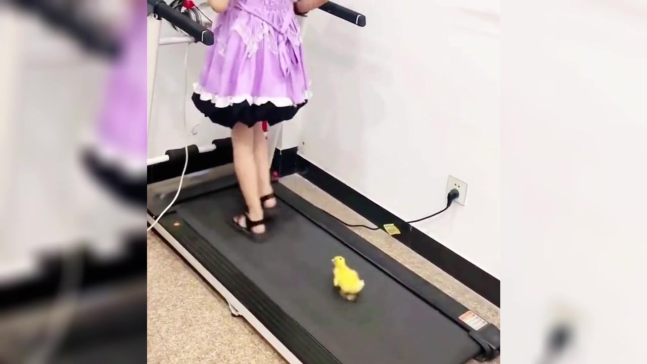小黄鸭喜欢跑步运动
