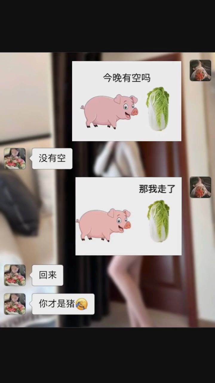 小猪拱白菜来了 每帧都是表情包 恋爱 撩妹 +小助手