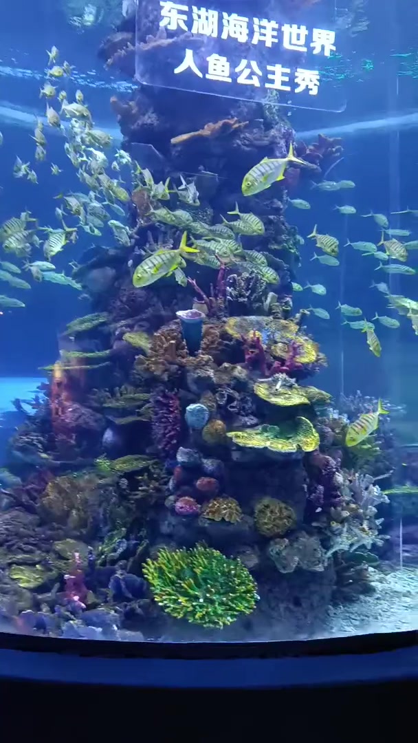 武汉东湖海洋世界海底隧道