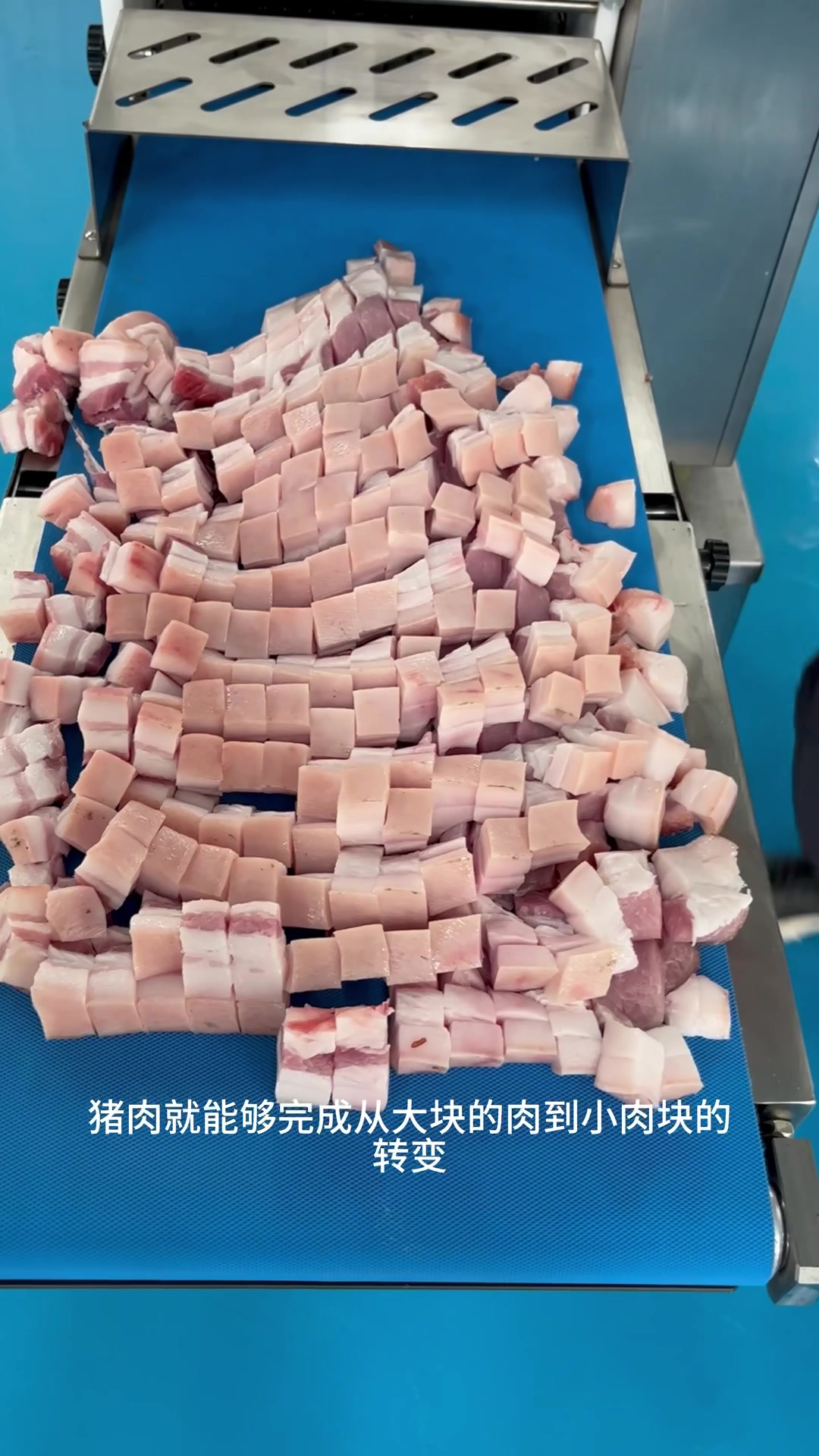 鲜肉分条切块机可快速切割猪肉不连刀。