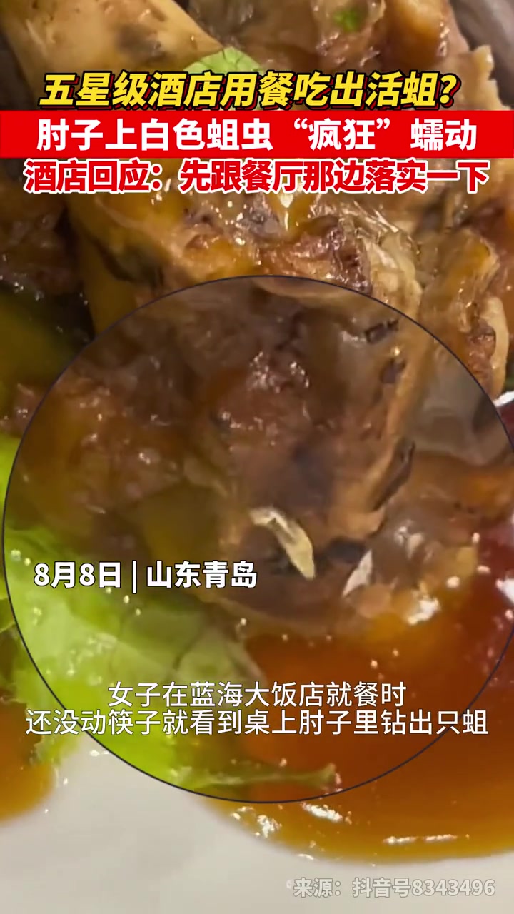 女子五星级大饭店吃饭发现蛆虫,有人怀疑是预制菜生虫,也有人认为就是隔夜菜里长了虫子,酒店方