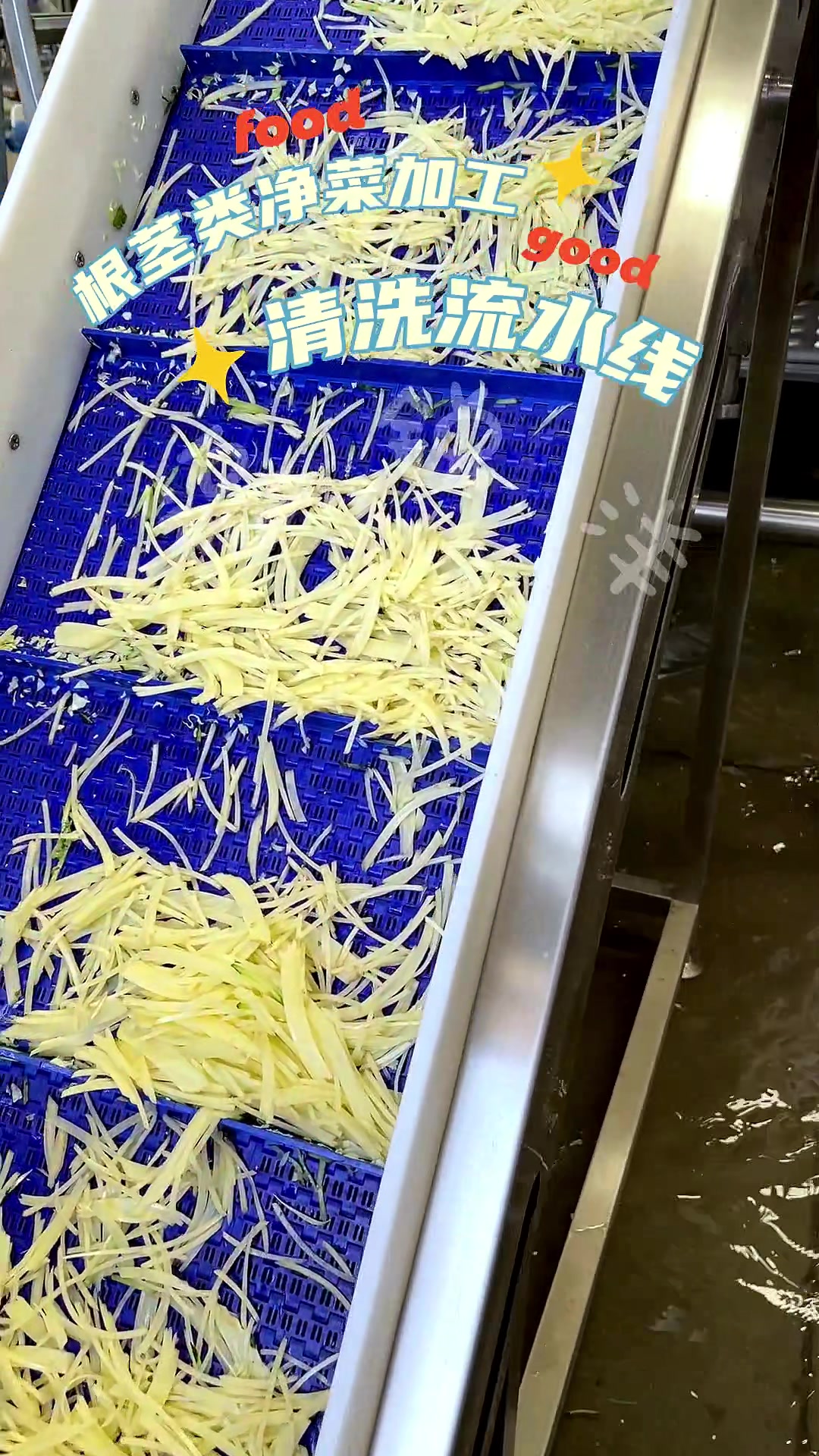 根茎类净菜加工清洗流水线设备