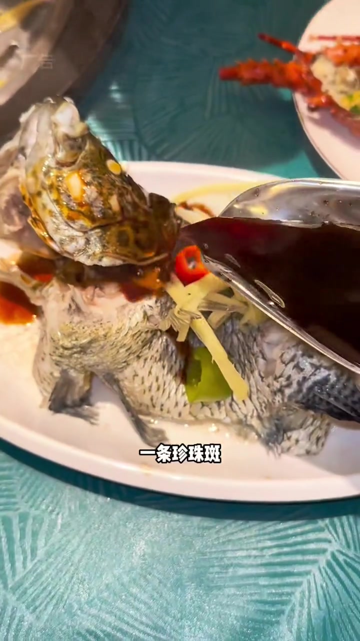 满桌都是鲜活海鲜 夏日食力狂欢 宴蒸鲜 海鲜大餐 海鲜 蒸汽海鲜