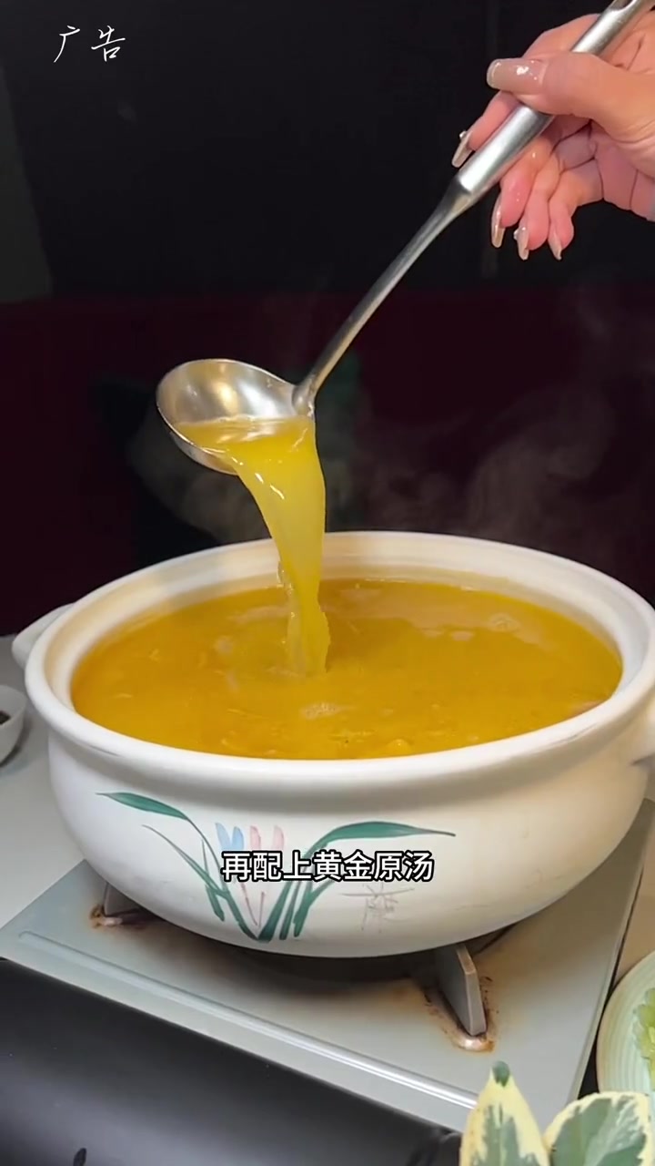 海参鲍鱼清远鸡,禧锅288金汤海参鸡煲套餐是真的美 探店 海鲜火锅 金汤海参 鸡煲火锅