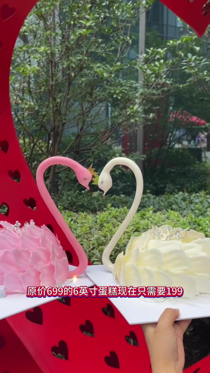 天鹅蛋糕真的是又好吃又好看!赶紧送给心爱的她吧!七夕礼物超浪漫天鹅礼盒 天鹅蛋糕 苏爵雅顿