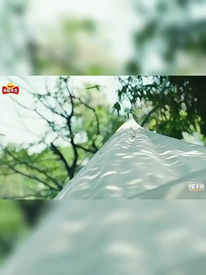 安井冻品先生酸菜鱼半成品家常菜预制菜家用带配料新鲜金汤黑鱼片
