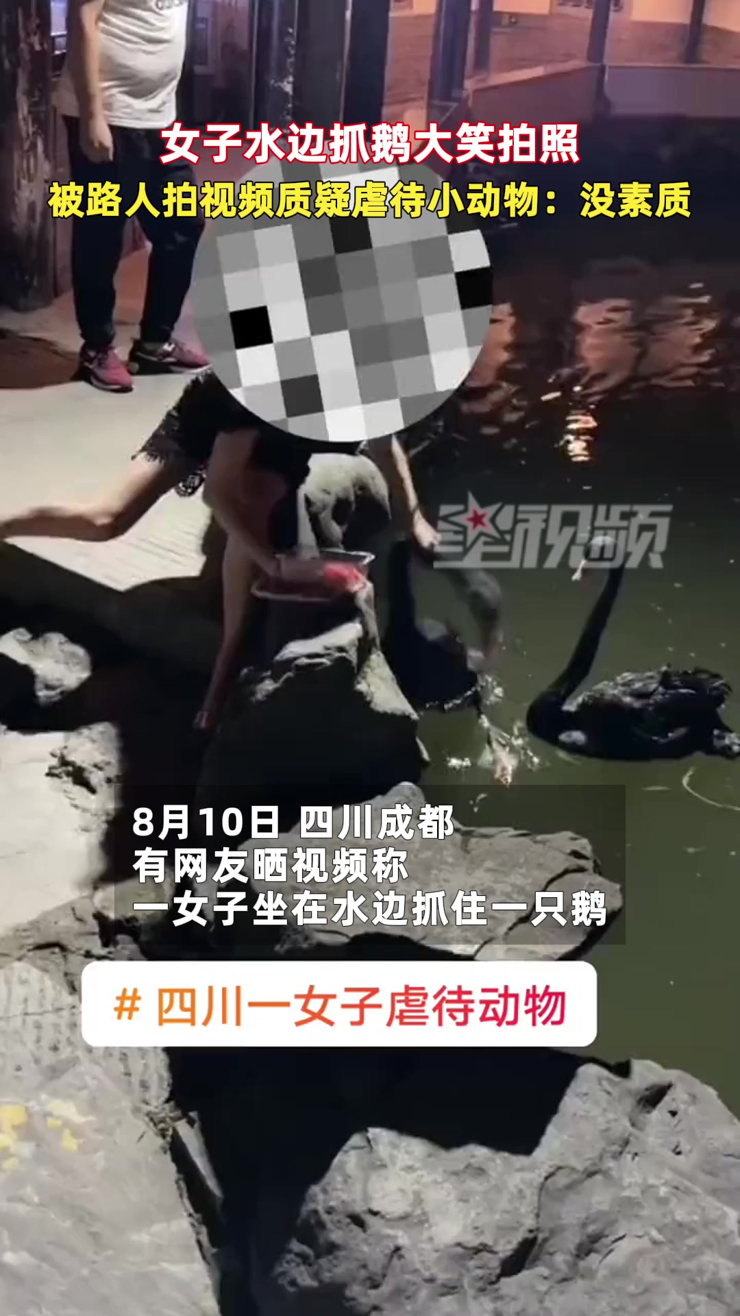 女子水边抓鹅大笑拍照,被路人拍视频质疑虐待小动物:没素质