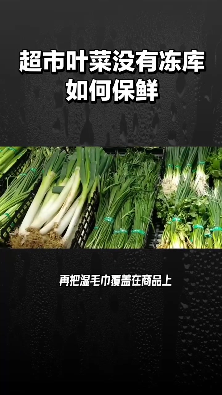 超市叶菜没有冻库如何保鲜?这四种叶菜保鲜方法,简单好用有效果!生鲜超市 家门口的生活超市 