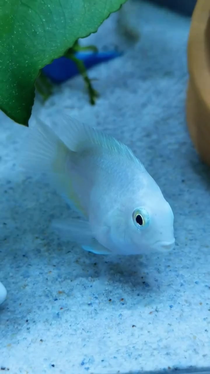 分享视频