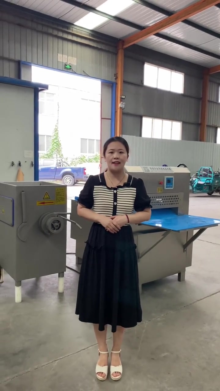 冻肉切片机和冻肉绞肉机之间可加链板提升机实现联动