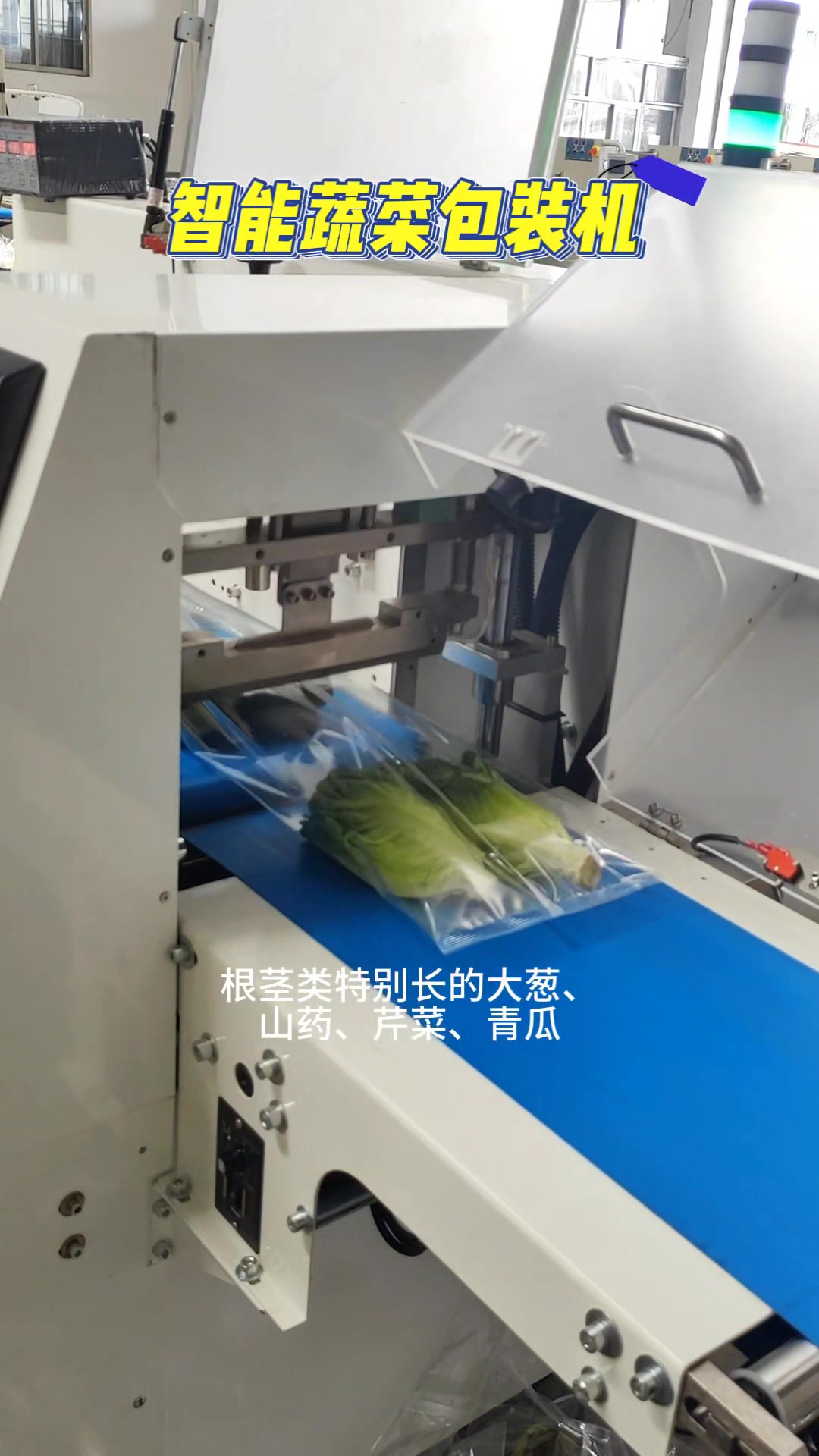 广东蔬菜包装机厂家 众多蔬菜配送中心都在使用!