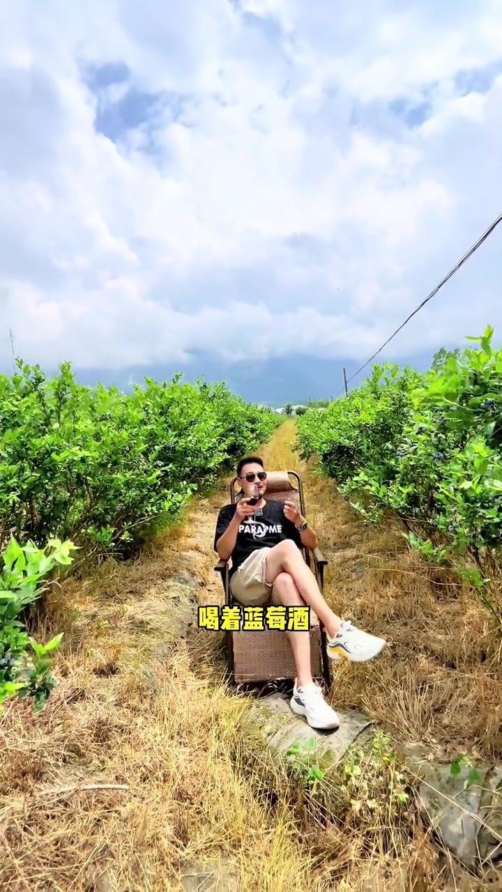 你们见过蓝莓园吗?去避暑之城太白看看吧!新鲜采摘 特色农产品 田园生活 蓝莓 避暑胜地