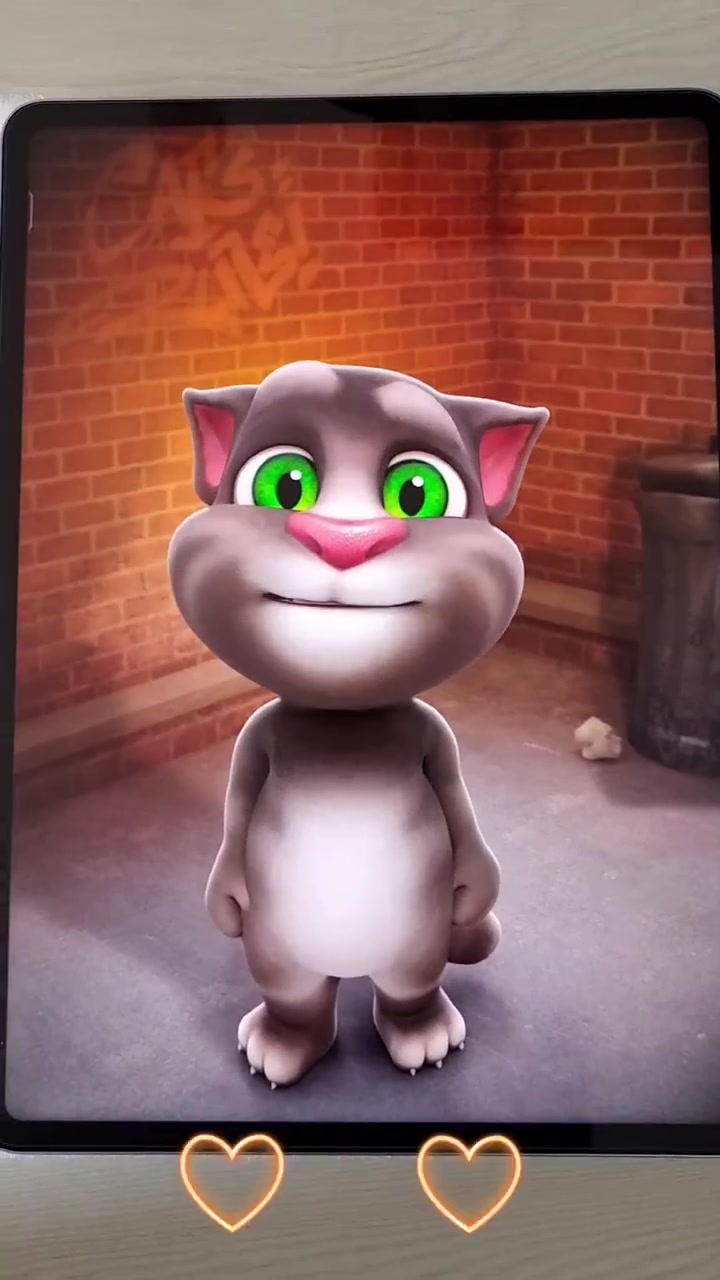 我的汤姆猫太犯困了