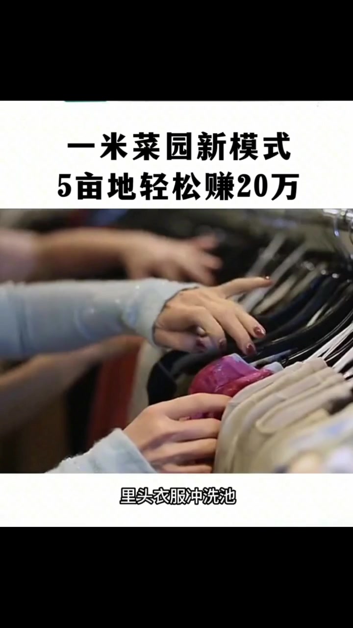 一米菜园新模式,5亩地轻松赚20万