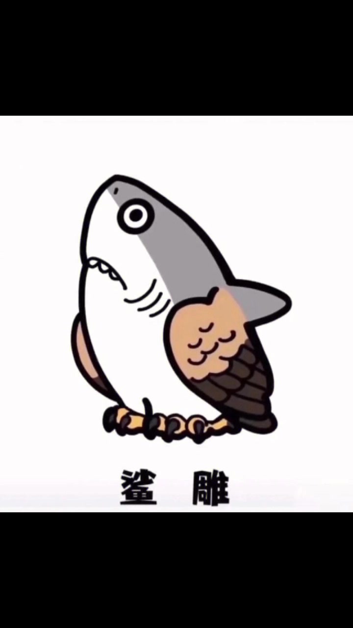 今天又是一期,沙雕头像,哈哈