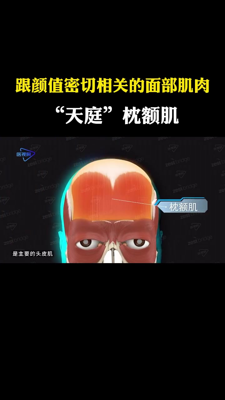 「运动解剖」枕额肌:你的抬头纹全赖它!枕肌和额肌,一个跟颜值密切相关的面部肌肉,挑眉,抬眼