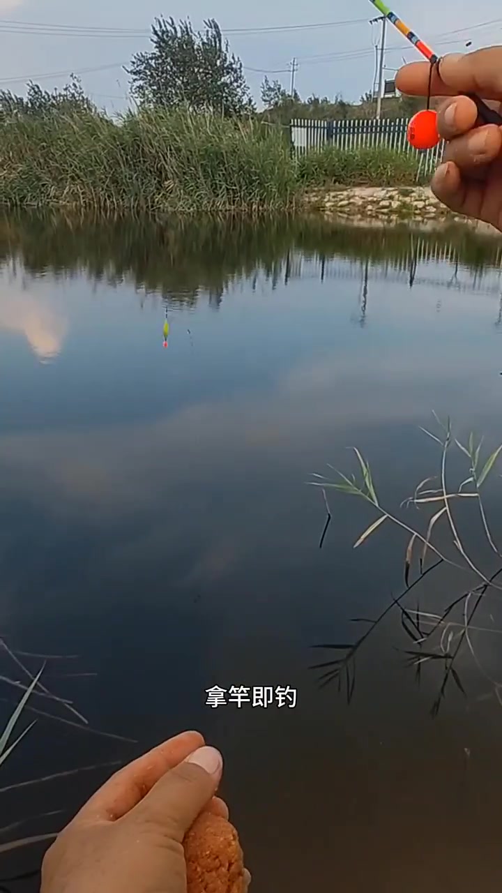小仙郎自动找底,免调漂,让你调漂快人一步,轻松爆护