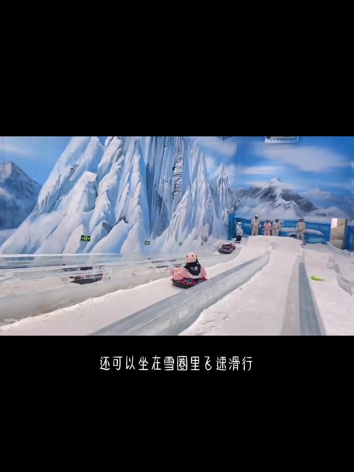 和企鹅阿拉斯加犬见面啦!广州正佳企鹅冰雪世界攻略～正佳星球超级萌宠节 企鹅见面会 正佳企鹅