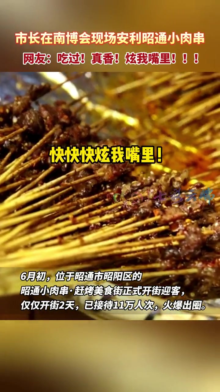 市长在南博会现场推荐的昭通小肉串究竟有多香?有一种叫云南的生活