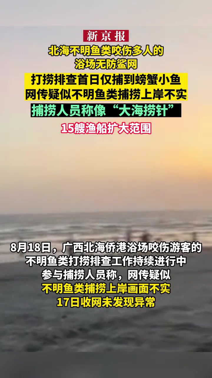 北海不明鱼类咬伤多人的浴场无防鲨网,打捞排查首日仅捕到螃蟹小鱼,网传疑似不明鱼类捕捞上岸不