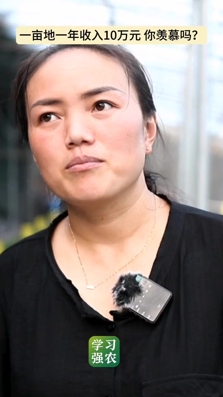 水培韭菜一亩地一个月能卖一万多块钱,一亩地一年卖10万元,你羡慕吗?