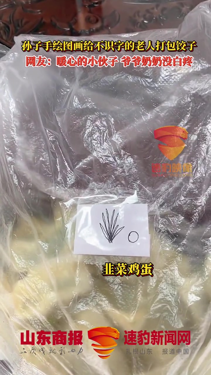 孙子手绘图画给不识字的老人打包饺子,网友:暖心的小伙子 爷爷奶奶没白疼 绘画 水饺 孙子