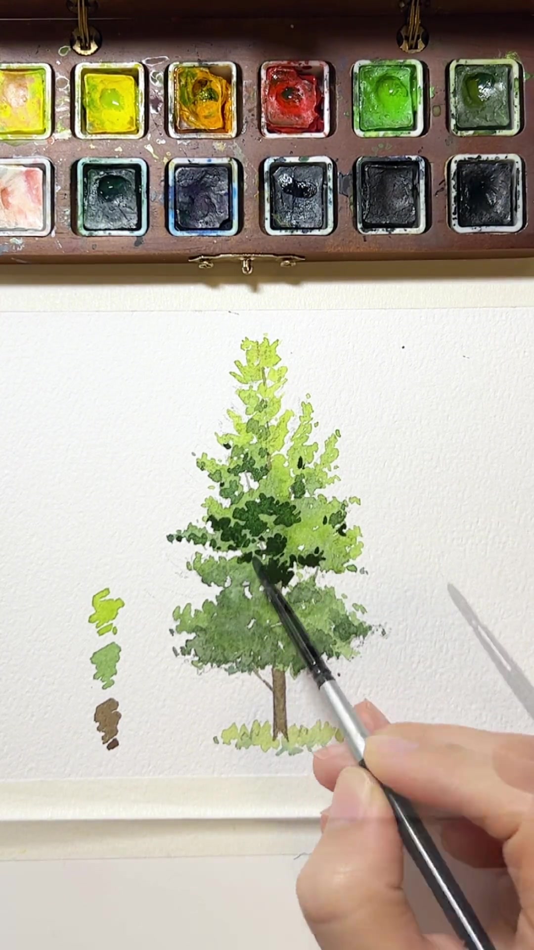 超简单的水彩树小教程,零基础学水彩 水彩 一起学画画 水彩教程 治愈系风景 风景画