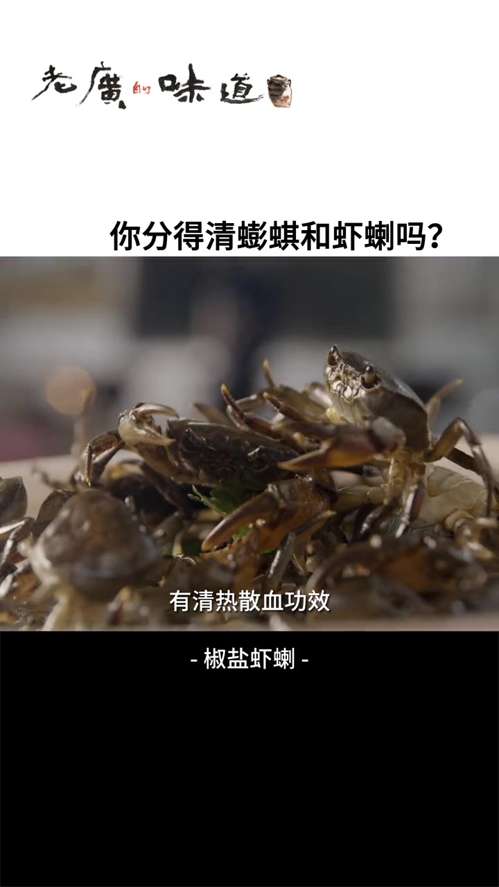 虾蝲、蟛蜞傻傻分不清楚?这个视频教你辨别!纪录片 食在岭南