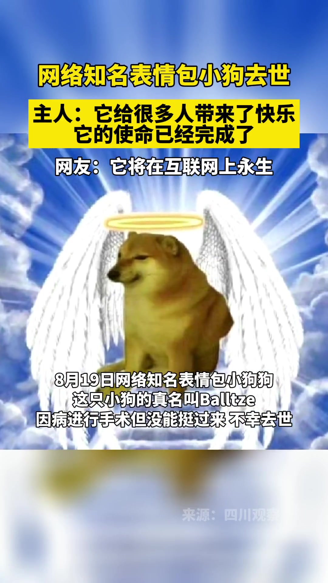 网络知名表情包小狗去世,网友:它将在互联网上永生