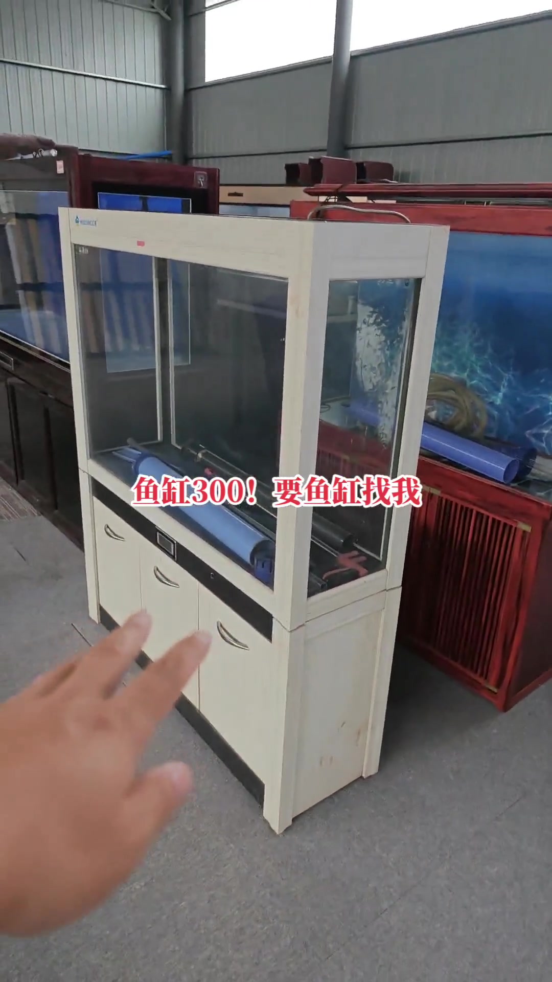 专业的事交给专业的人 旧货市场 二手鱼缸 鱼缸来了