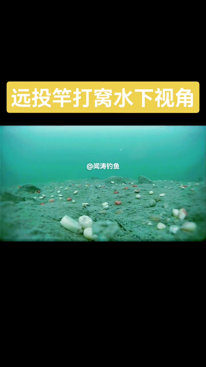 打窝水下视角。最近很多钓友问我怎么打窝的,是集中还是分散,我特意拍了一个水下的视角比较直观
