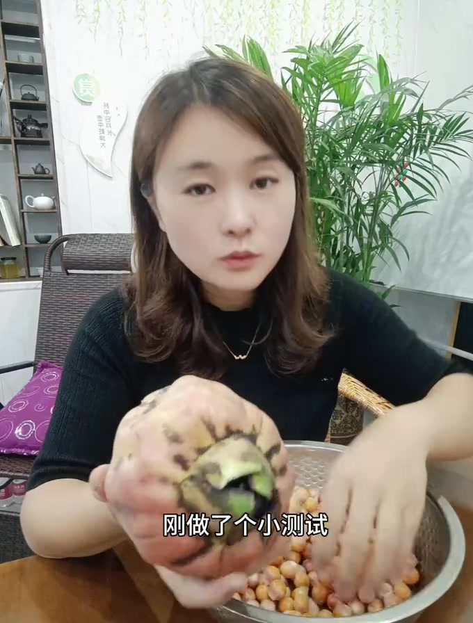来吧,测试一下新鲜鸡头苞出果的产出比例
