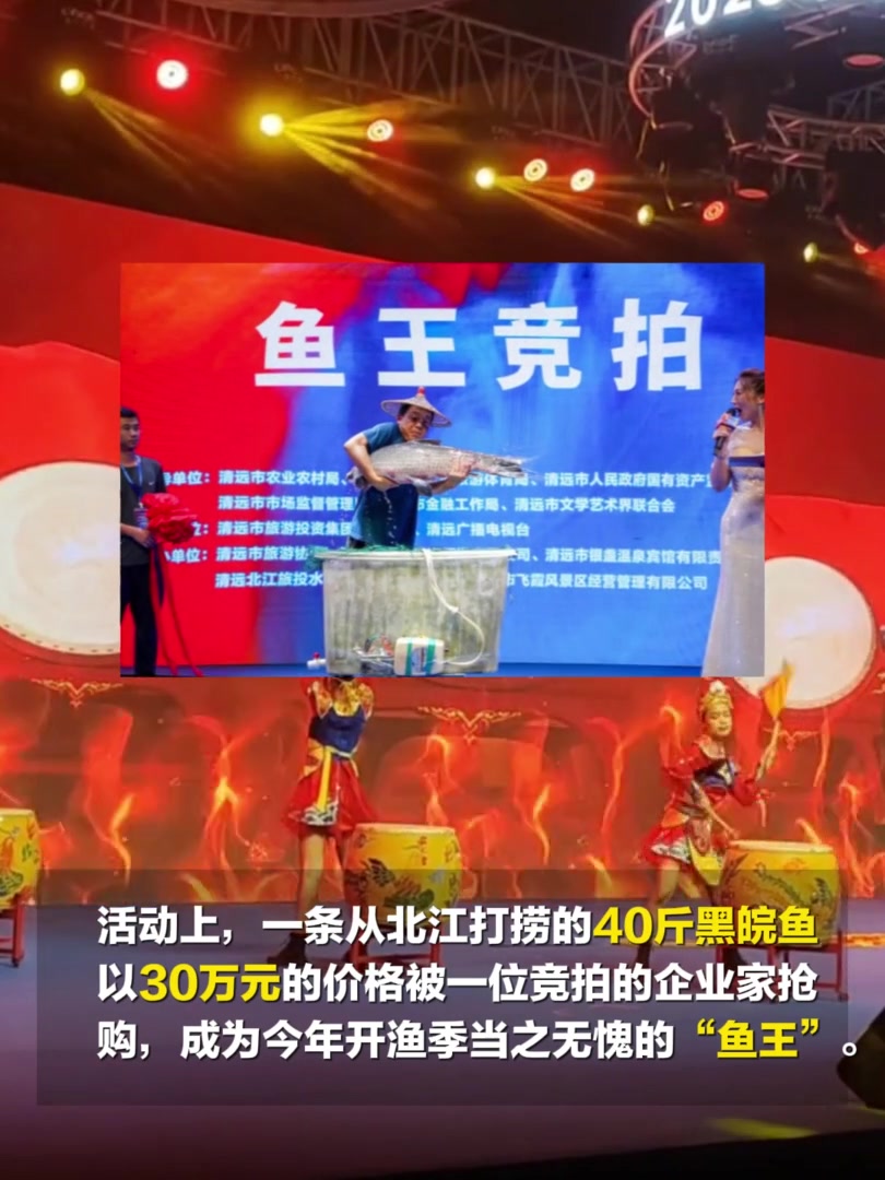 鱼王拍出30万元!买家当场放生