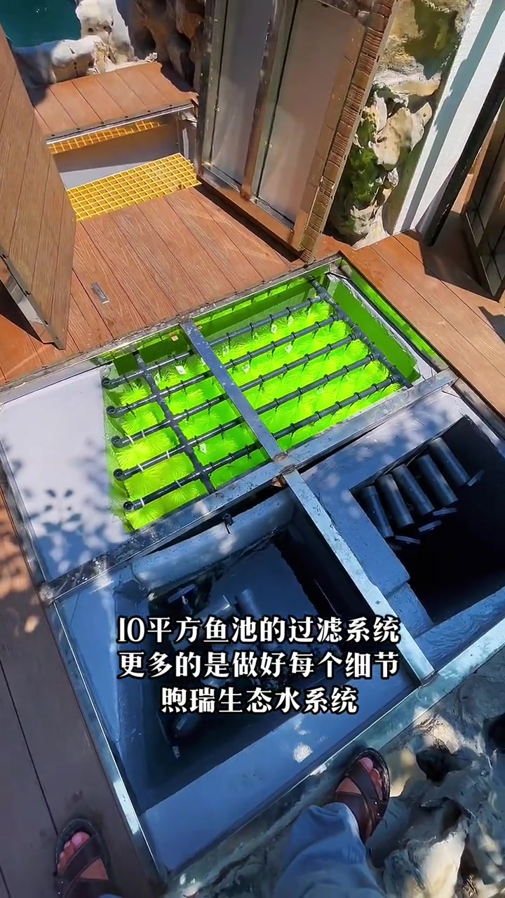 在业主的全程参与下,德清10平方的鱼池过滤系统顺利完工。庭院鱼池 鱼池假山 养鱼先养水 鱼