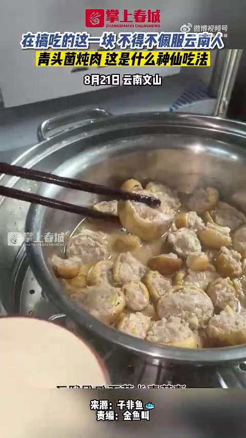 云南人有多爱吃野生菌「青头菌炖肉,这是什么神仙吃法」8月21日,云南文山,一网友分享青头菌