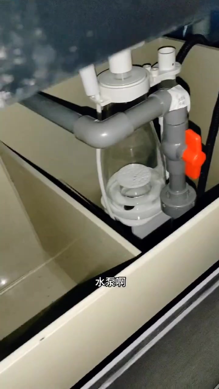 移动海鲜池-贝类鱼缸,海鲜池,超市海鲜池厂家定做,水族鱼缸