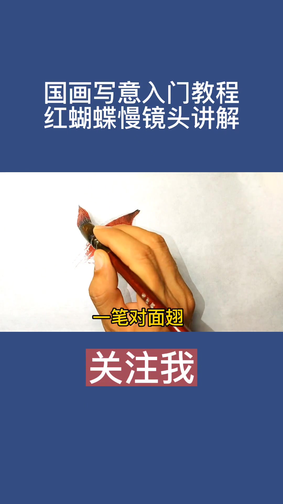 画出蝴蝶的灵动与生机 国画写意入门教程,红蝴蝶慢镜头讲解