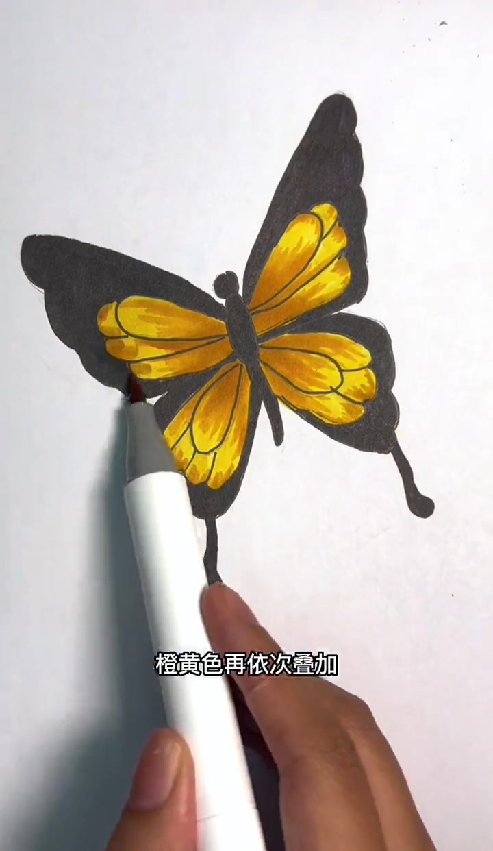 画出蝴蝶的灵动与生机 写实蝴蝶马克笔也可以轻松画出