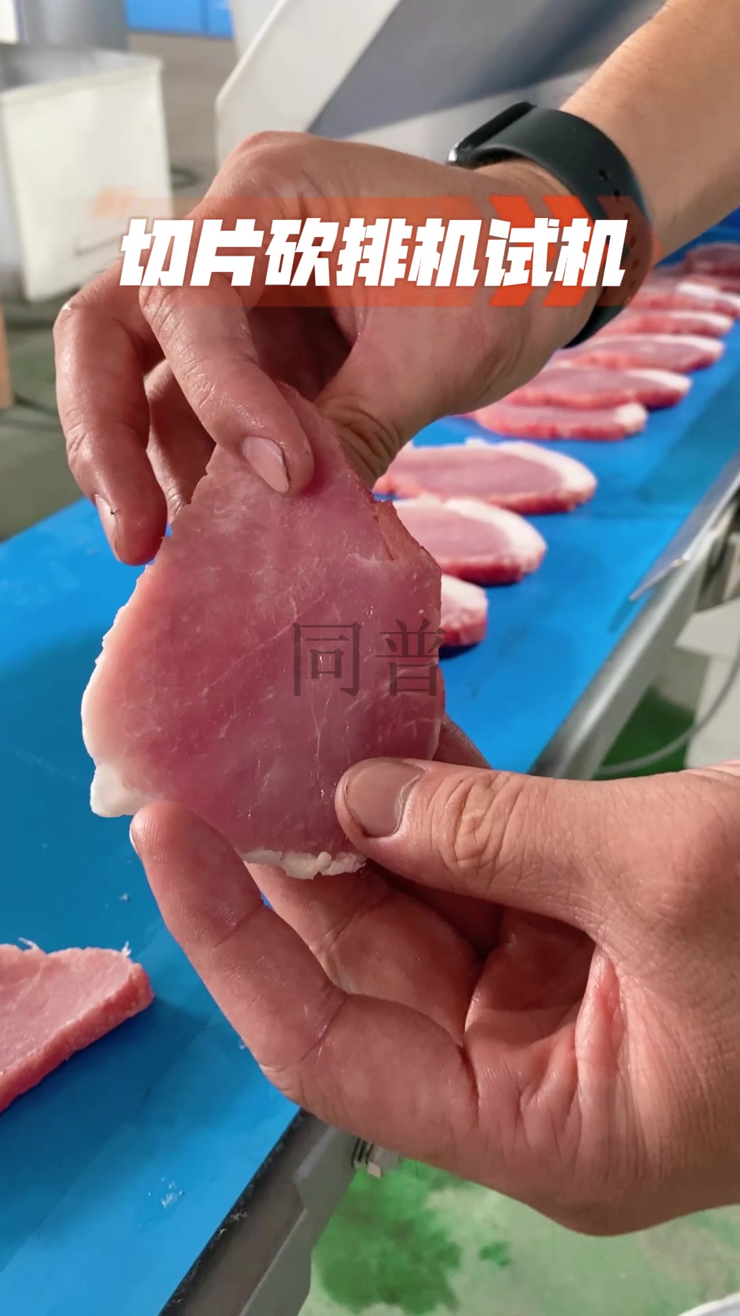 牛排切片机,里脊肉切片试机,切片砍排机