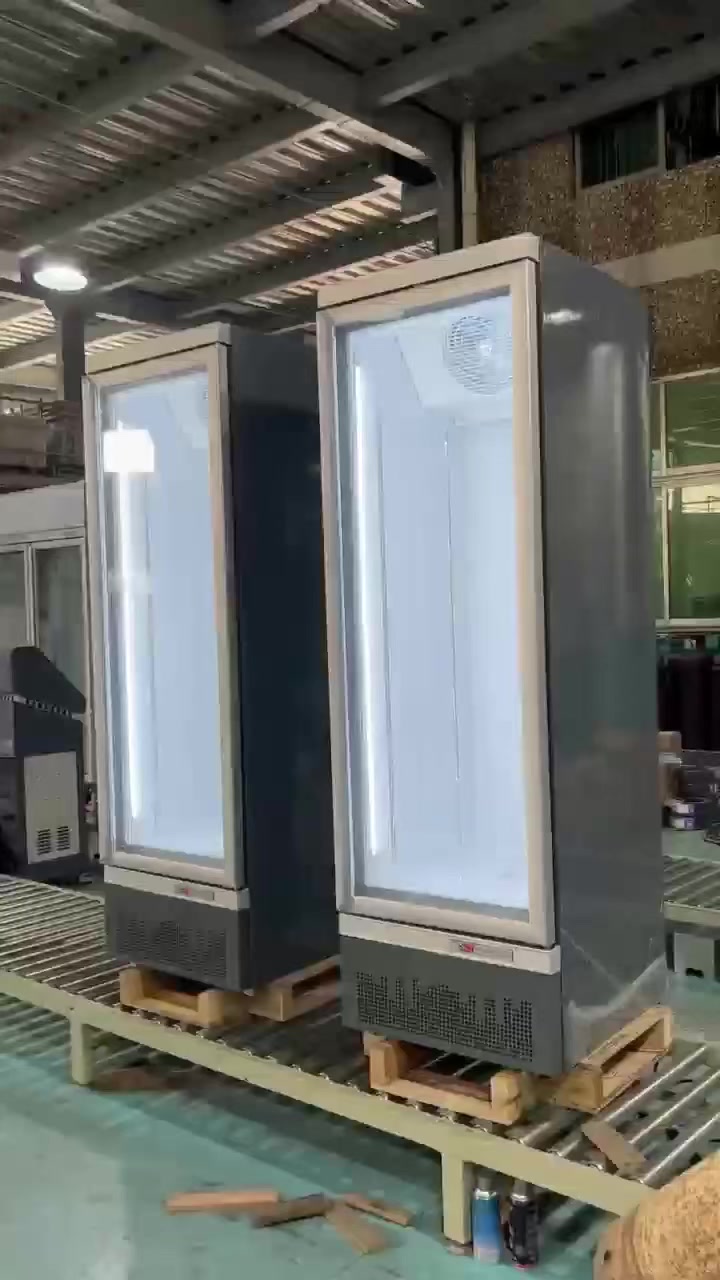饮料保鲜立式陈列柜,冷藏冷冻展示柜,雪糕冰淇凌展示柜