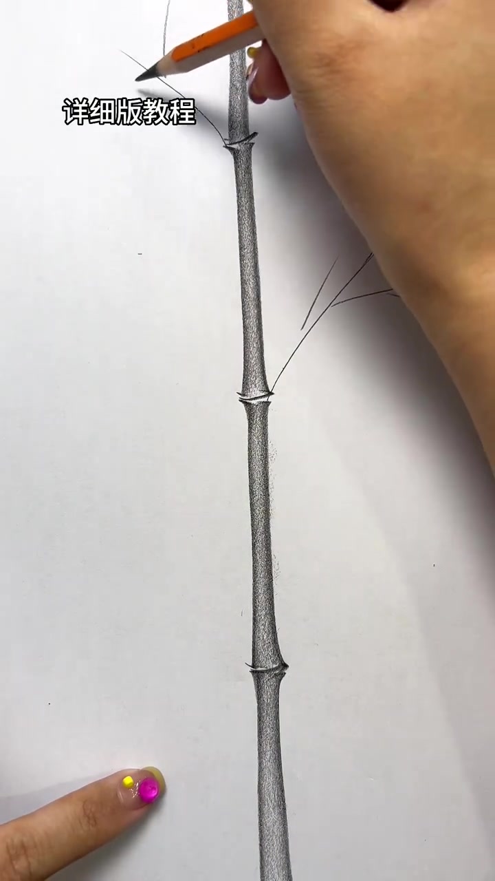 竹子简笔画 竹子教程