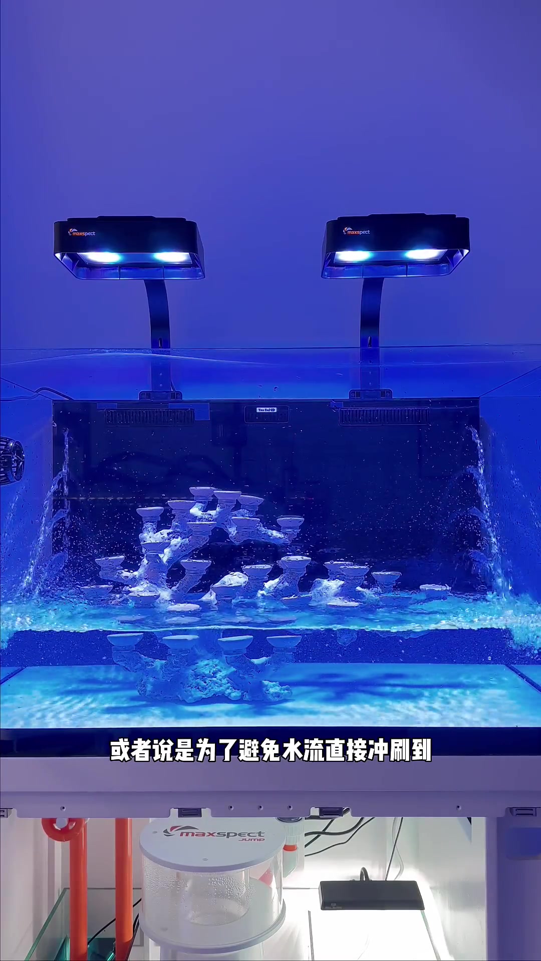 从零开始玩海缸,鱼缸篇韵海ts90分享 海缸 海缸日记 养鱼日记 水族 鱼缸里的大自然